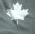 Canada Leaf  Elch Kanada Blatt Babybody Strampler