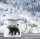 Ma2ca® Bearwood Bär farbig Canada Camper Kanada Emailletasse Campingbecher Tasse Emaillebecher Kindertasse Becher-weiss
